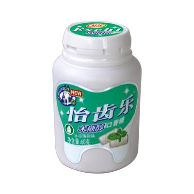 60g Yi Tooth Cold Mint Gum